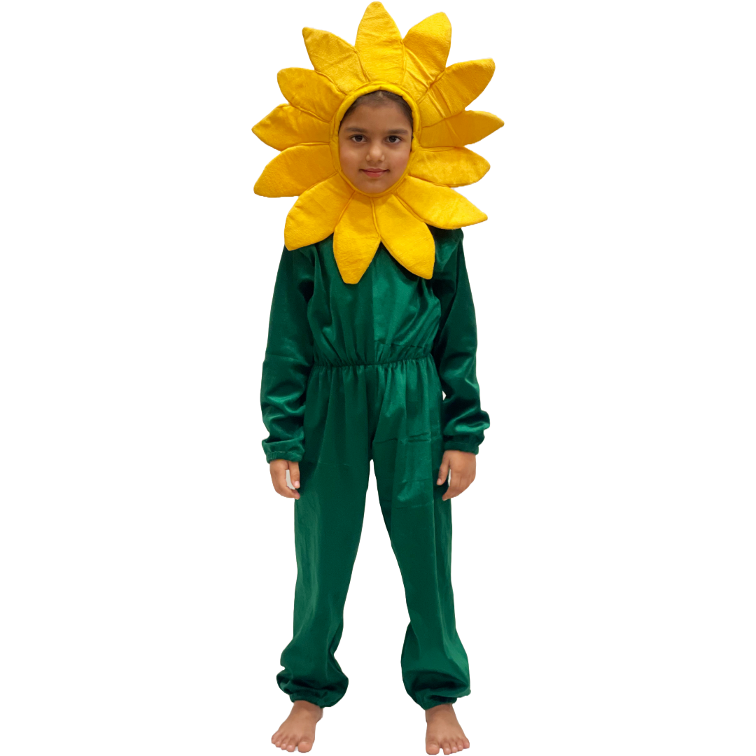 Kids Flower Costume, Premium Velvet Jumpsuit with Floral Headpiece, Available in Pink/Yellow/Red/blue/Purple